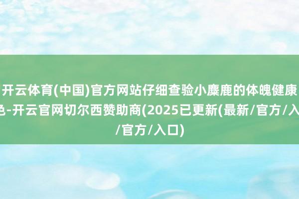 开云体育(中国)官方网站仔细查验小麋鹿的体魄健康景色-开云官网切尔西赞助商(2025已更新(最新/官方/入口)