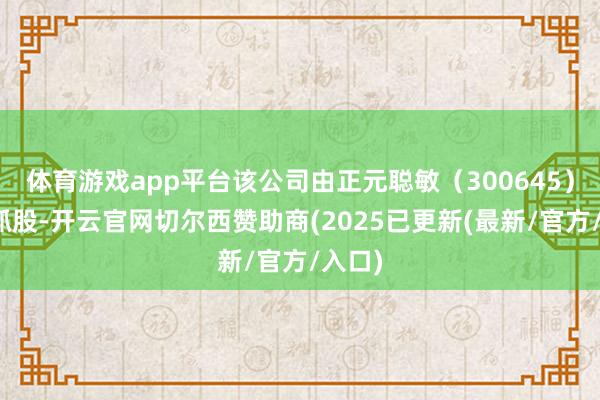 体育游戏app平台该公司由正元聪敏（300645）全资抓股-开云官网切尔西赞助商(2025已更新(最新/官方/入口)