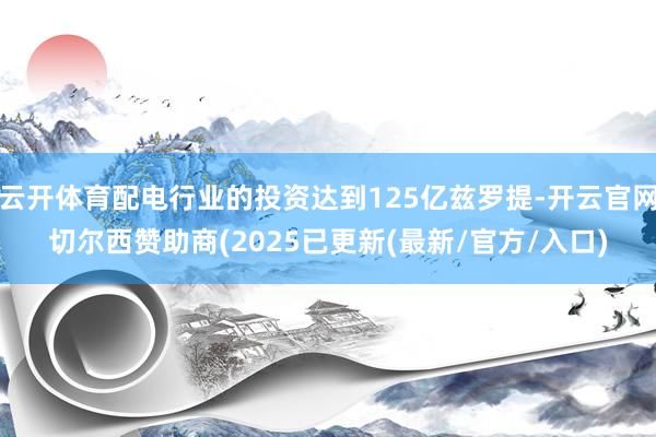 云开体育配电行业的投资达到125亿兹罗提-开云官网切尔西赞助商(2025已更新(最新/官方/入口)