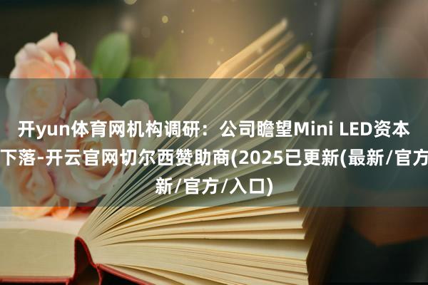 开yun体育网机构调研：公司瞻望Mini LED资本将握续下落-开云官网切尔西赞助商(2025已更新(最新/官方/入口)