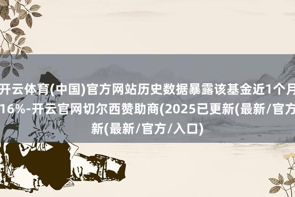 开云体育(中国)官方网站历史数据暴露该基金近1个月高涨0.16%-开云官网切尔西赞助商(2025已更新(最新/官方/入口)