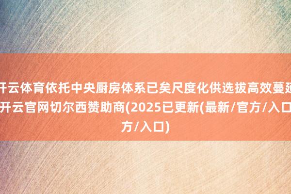 开云体育依托中央厨房体系已矣尺度化供选拔高效蔓延-开云官网切尔西赞助商(2025已更新(最新/官方/入口)