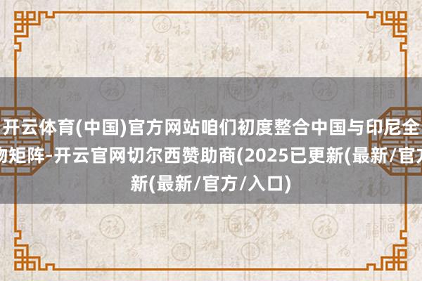 开云体育(中国)官方网站咱们初度整合中国与印尼全系列产物矩阵-开云官网切尔西赞助商(2025已更新(最新/官方/入口)